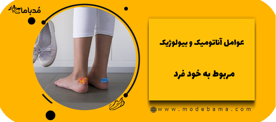 عوامل آناتومیک و بیولوژیک مربوط به خود فرد
