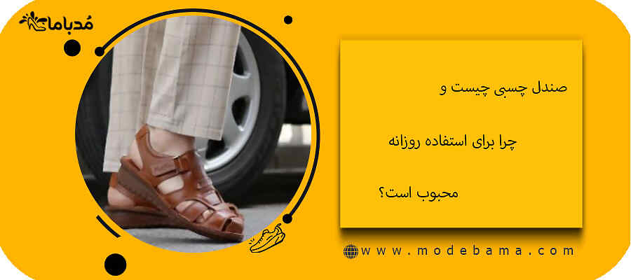 صندل چسبی چیست و چرا برای استفاده روزانه محبوب است؟